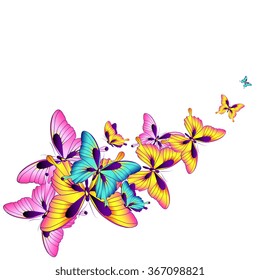 butterflies design