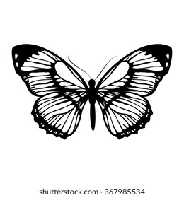 butterflies design