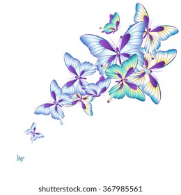 butterflies design