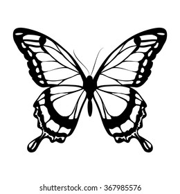butterflies design