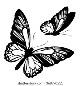 butterflies design