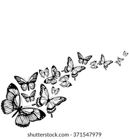 butterflies design