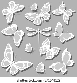 butterflies design