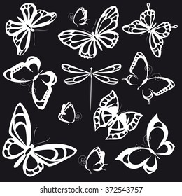 butterflies design