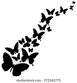 butterflies design