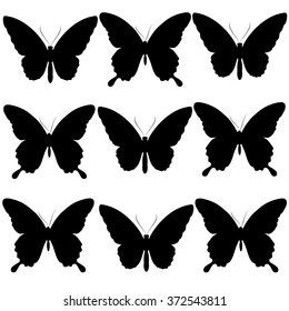 butterflies design