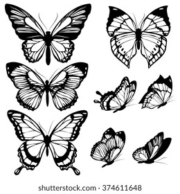 butterflies design