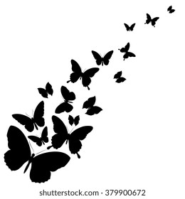 butterflies design