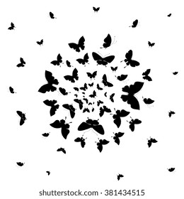 butterflies design