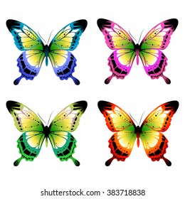 butterflies design