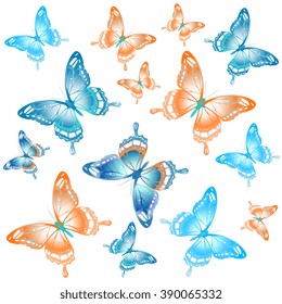 butterflies design