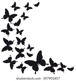 butterflies design