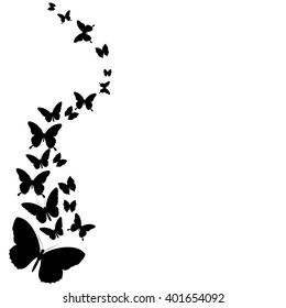 butterflies design