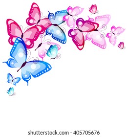 butterflies design