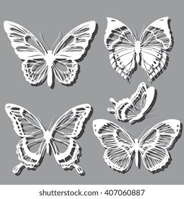 butterflies design