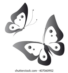 butterflies design
