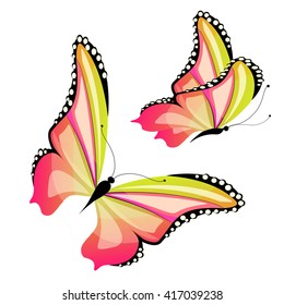 butterflies design
