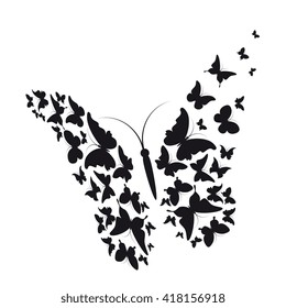 butterflies design