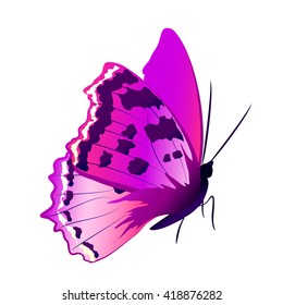 butterflies design