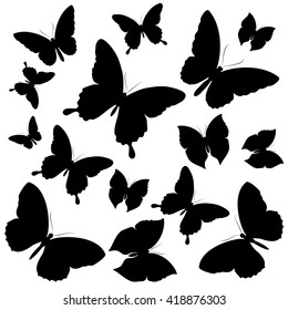butterflies design