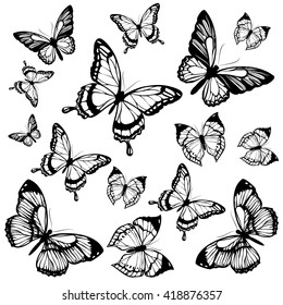 butterflies design