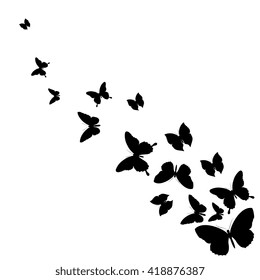 butterflies design