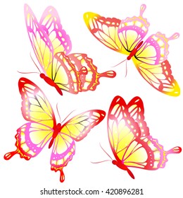 butterflies design