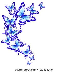butterflies design