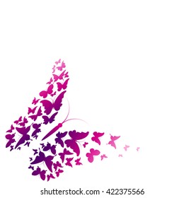 butterflies design