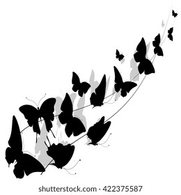 butterflies design