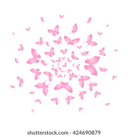 butterflies design