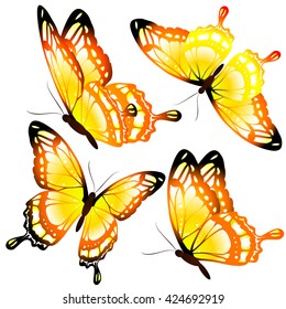 butterflies design