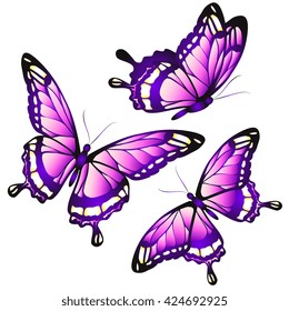 butterflies design