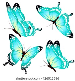 butterflies design