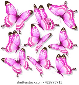 Watercolor Colorful Butterflies Isolated On White Stock Illustration ...