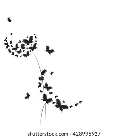 butterflies design