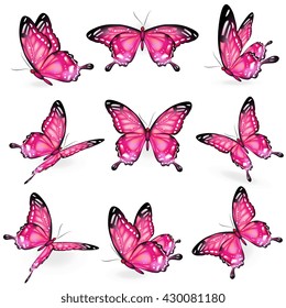 butterflies design