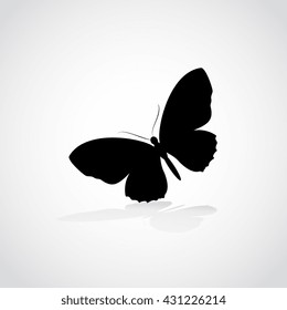 butterflies design
