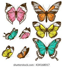 butterflies design