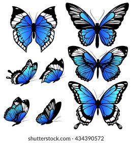 butterflies design