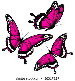butterflies design
