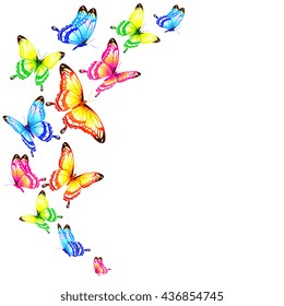 butterflies design