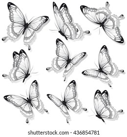 butterflies design