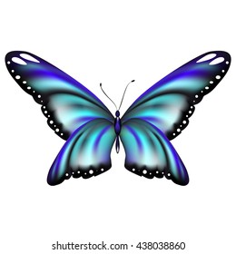 butterflies design
