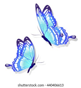 butterflies design