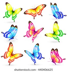 butterflies design