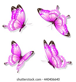 butterflies design