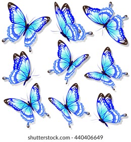 butterflies design