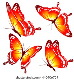 butterflies design