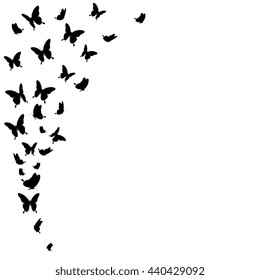 butterflies design